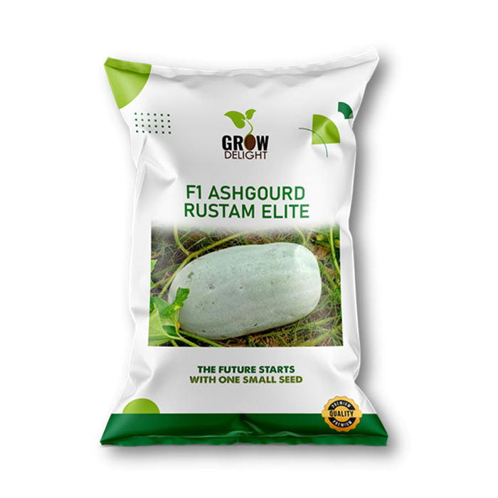 Grow Delight F1 Ashgourd Rustam Elite - Ashgourd Seeds
