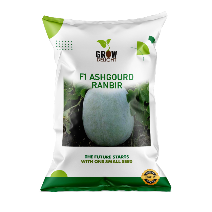 Grow Delight F1 Ashgourd Ranbir - Vegetable Crop Seeds