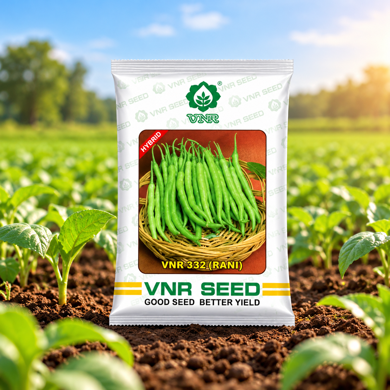 Vegetable Crop Seeds