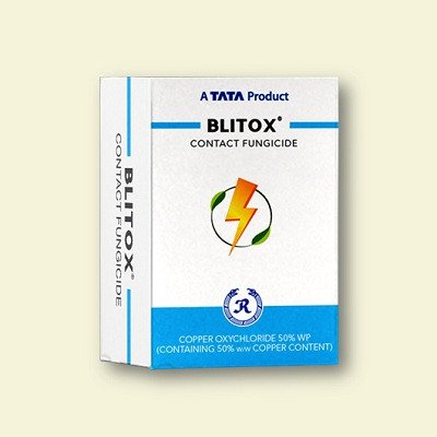 Tata Blitox (Copper Oxychloride 50% WP)