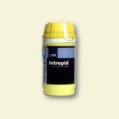 BASF Intrepid