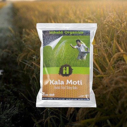 Bio Fertilizer