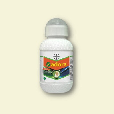 Bayer Adora
