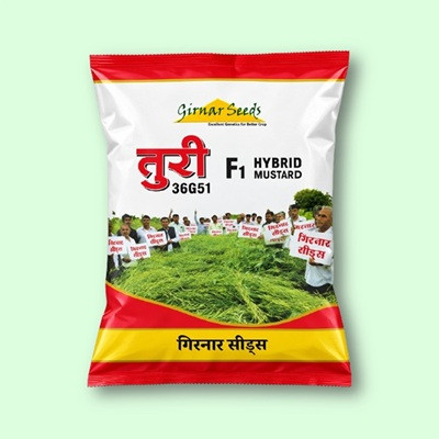 Girnar Turi (तुरी) 36G51 Mustard Hybrid