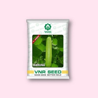 VNR Haruna Bottle Gourd Hybrid Seeds