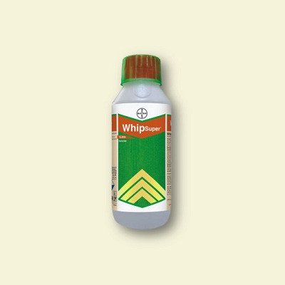 Bayer Whip Super (Fenoxaprop-p-ethyl 9% EC)